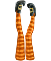 vattenfärg hand dragen halloween häxa ben png