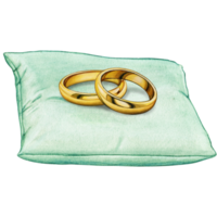 watercolor hand drawn wedding rings on cushion png