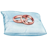 watercolor hand drawn wedding rings on cushion png