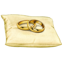 watercolor hand drawn wedding rings on cushion png