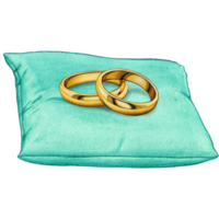 aquarelle main tiré mariage anneaux sur coussin png