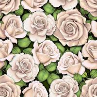 Watercolor hand drawn roses seamless pattern photo