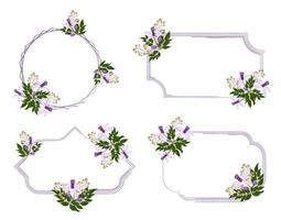 Set of floral frame with Chinaberry flower vector