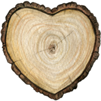 acquerello mano disegnato rustico di legno cuore decorazione png