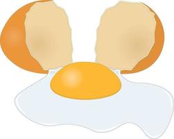 Broken hen egg with egg yolk and white vector illustration