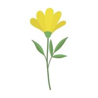 A delicate sprig of yellow flowers. Vector illustration of vintage cute yellow flowers. Delicate flower for decoration. Isolated.