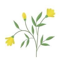 A delicate sprig of yellow flowers. Vector illustration of vintage cute yellow flowers. Delicate flower for decoration. Isolated.