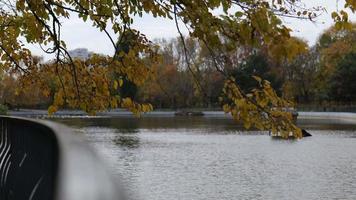 estanque de la ciudad en el parque de otoño video