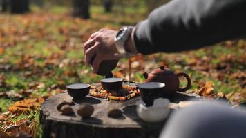 een Mens giet pu-erh van pottenbakkerij in kommen aan het wachten voor thee. Chinese thee ceremonie concept video