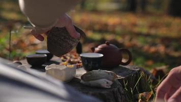 man pouring tea from a clay pot into a tea bowl. traditional Chinese tea ceremony outdoors video