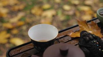 pouring tea from a clay vessel into a ceramic bowl. outdoor tea ceremony video