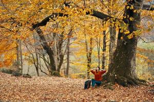 woman in autumn forest sitting under a tree with yellow leaves landscape park model photo