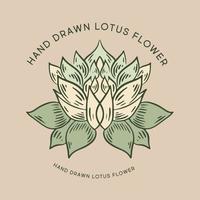 Lotus hand drawn illustrations, vector