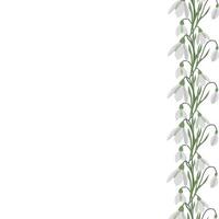 A frame of snowdrops for your design. vector