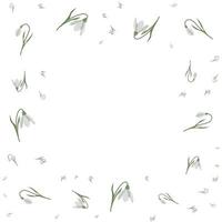 A frame of snowdrops for your design. vector