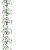 A frame of snowdrops for your design. vector