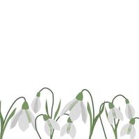 A frame of snowdrops for your design. vector