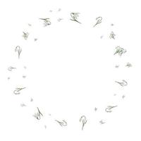 A frame of snowdrops for your design. vector