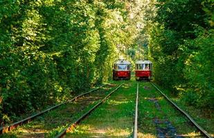 Tram and tram rails in colorful forest photo