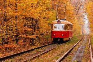 autumn forest among which goes a strange tram photo