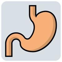 Filled color outline icon for Kidney. vector