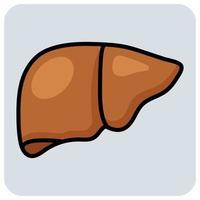 Filled color outline icon for Liver. vector