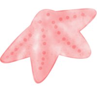 Star Fisch Illustration png