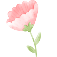 watercolor flower, flower watercolor, flower, cute flower, flower illustration png