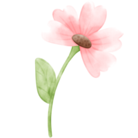 watercolor flower, flower watercolor, flower, cute flower, flower illustration png