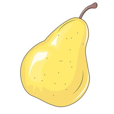 vector illustration of a pear fruit
