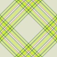 Plaid pattern vector. Check fabric texture. Seamless textile design for clothes, paper print. vector