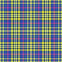 Pattern seamless background. Check textile texture. Tartan fabric plaid vector. vector