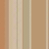 Stripes vector seamless pattern. Striped background of colorful lines. Print for interior design, fabric.