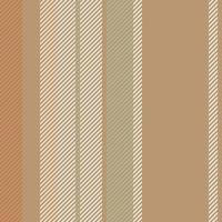 Stripes vector seamless pattern. Striped background of colorful lines. Print for interior design, fabric.