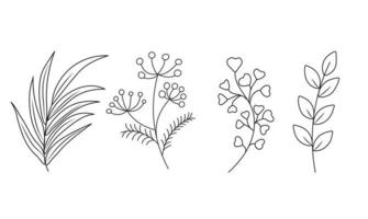 Floral set of hand drawn botanic elements. Vector illustration.