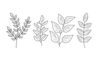 Floral set of hand drawn botanic elements. Vector illustration.