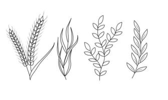 Floral set of hand drawn botanic elements. Vector illustration.