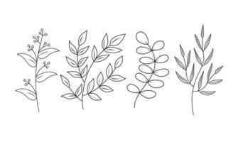 Floral set of hand drawn botanic elements. Vector illustration.