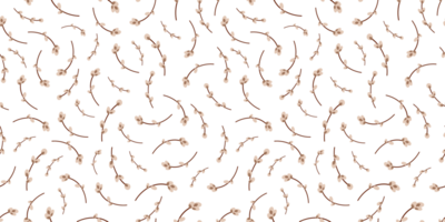 Retro brown aster spring seamless pattern with willow twigs png