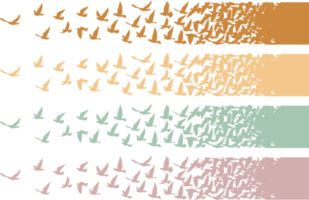 Flying birds silhouettes pattern wallpaper. PNG transparent. isolated bird flying. tattoo design. template for card, package, and wallpaper.