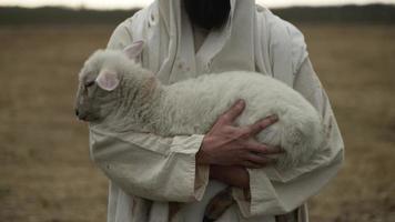 Sheep, Lamb Being Held In The Arms Of A Shepherd In White Tunic video