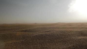 viento golpes arena granos en lento movimiento en medio este Desierto video