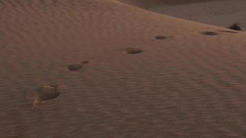 Footprints In Sand Dunes In Middle East Desert video