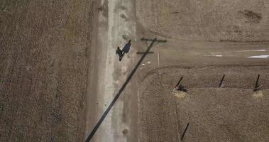 aereo di giovane uomo nel nero cappotto a piedi nel città video