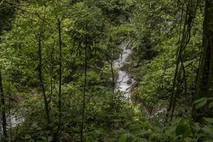 The way going to water fall on the rain forest. The photo is suitable to use for adventure content media, nature poster and forest background.