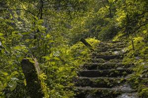 The way going to water fall on the rain forest. The photo is suitable to use for adventure content media, nature poster and forest background.