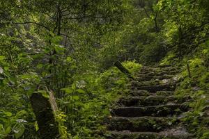 The way going to water fall on the rain forest. The photo is suitable to use for adventure content media, nature poster and forest background.