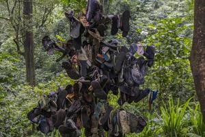 The waste of sendal on the way going to water fall tropical forest. The photo is suitable to use for adventure content media, nature poster and forest background.