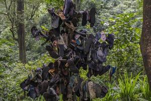 el residuos de cendal en el camino yendo a agua otoño tropical bosque. el foto es adecuado a utilizar para aventuras contenido medios de comunicación, naturaleza póster y bosque antecedentes.