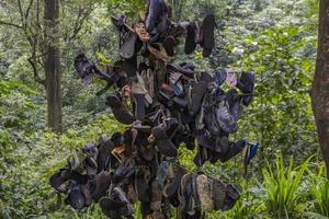 The waste of sendal on the way going to water fall tropical forest. The photo is suitable to use for adventure content media, nature poster and forest background.